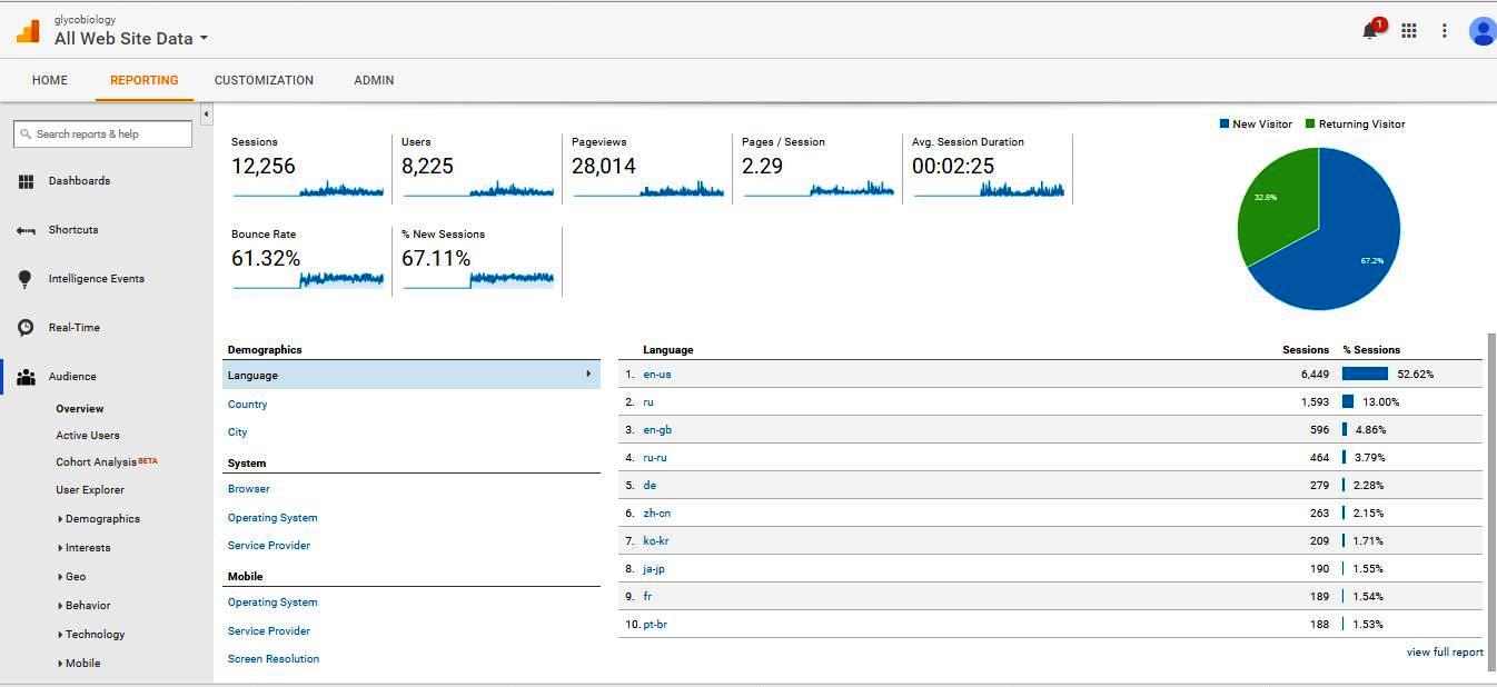Visitor Analysis Report